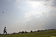 Parco San Giuliano  - 476